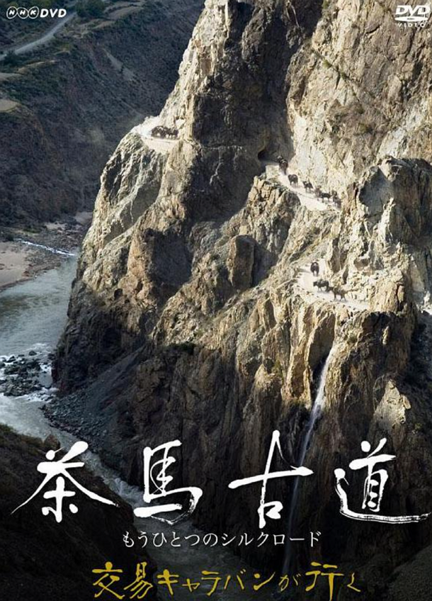 暑假足不出户，也能领略世界风光
